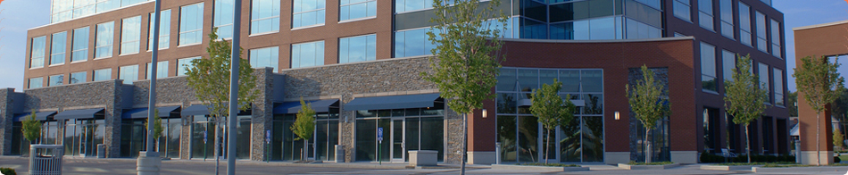 Company Profile